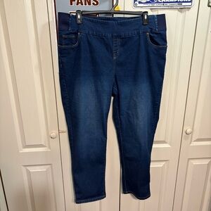 Woman Within Elastic Waist Blue Jeans